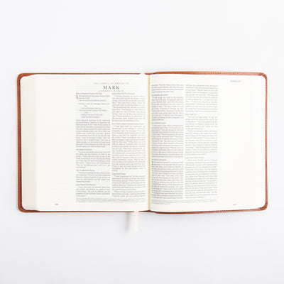 ESV Journaling Bible - Sierra Theme