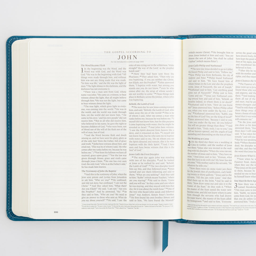 ESV Journaling Bible - TruTone, Deep Teal, Fleur-de-lis Design