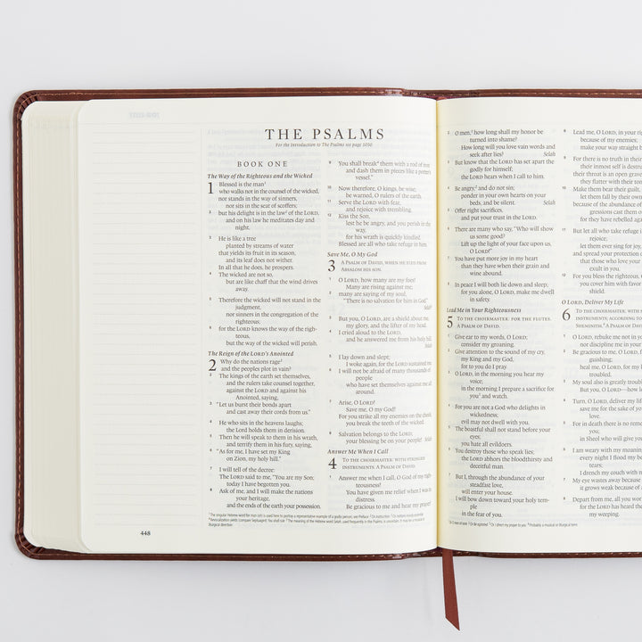 ESV Journaling Bible - TruTone, Brown, Mosaic Cross Design