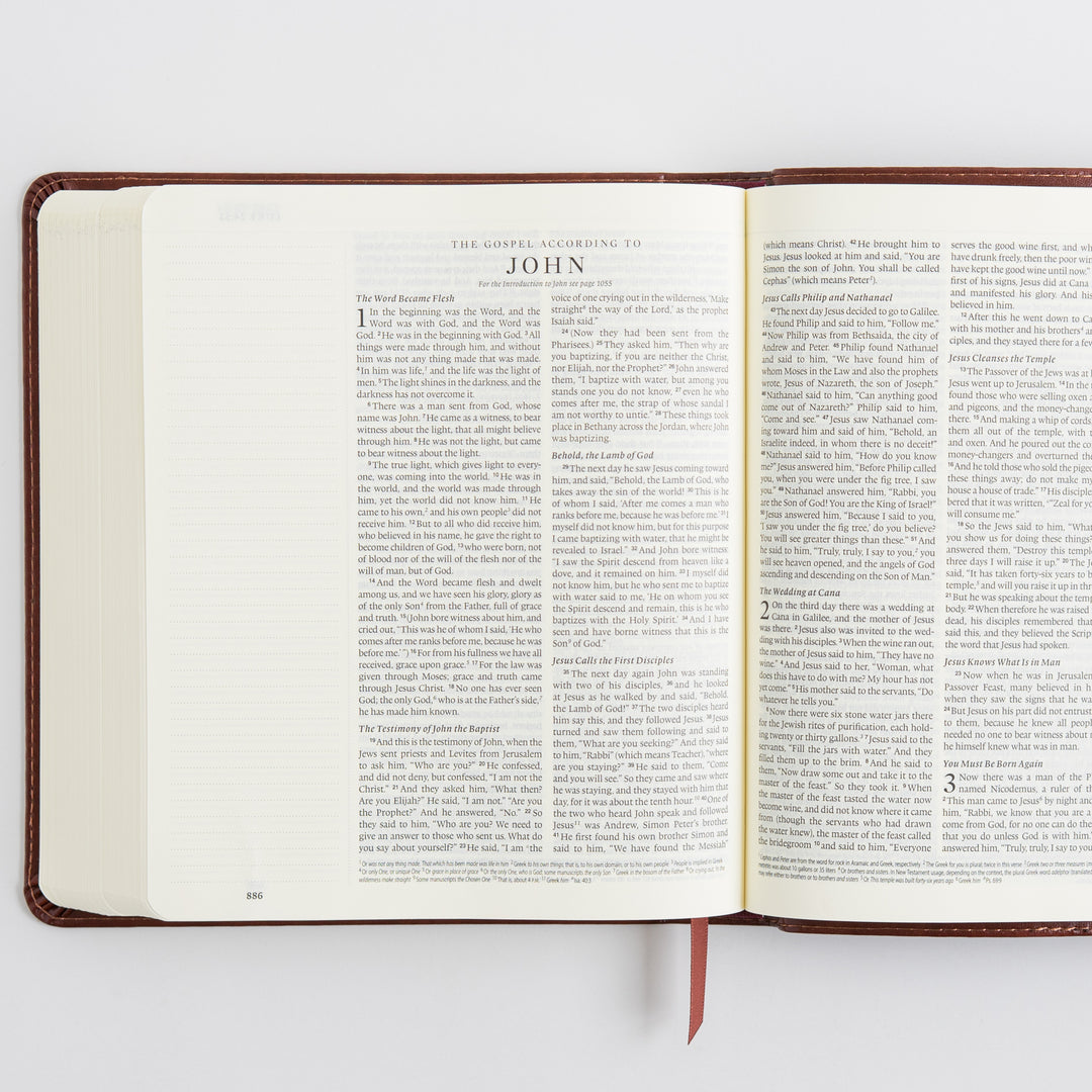 ESV Journaling Bible - TruTone, Brown, Mosaic Cross Design