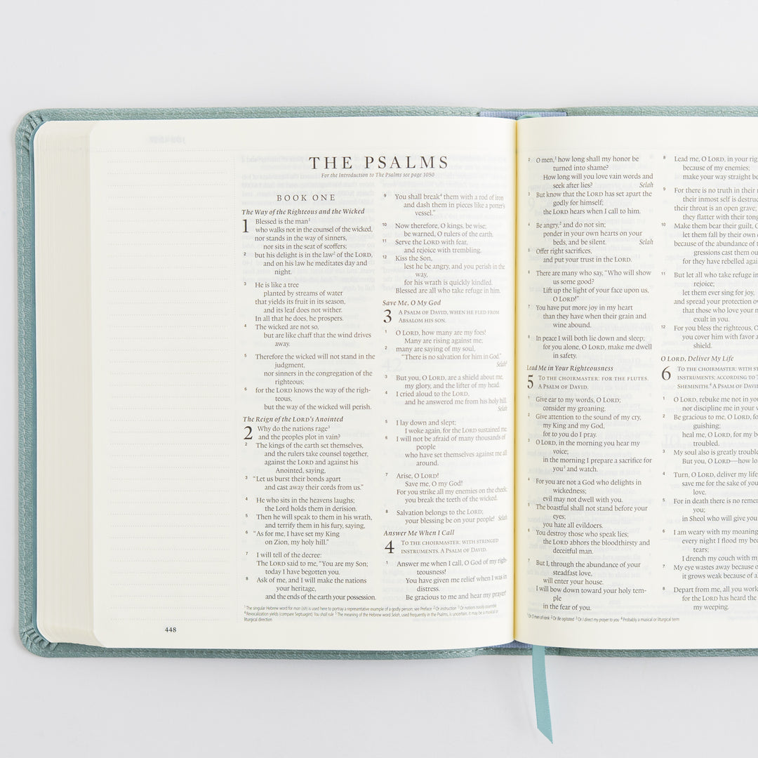 ESV Journaling Bible - TruTone, Paris Sky, Emblem Design