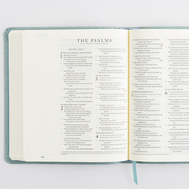 ESV Journaling Bible - TruTone, Paris Sky, Emblem Design