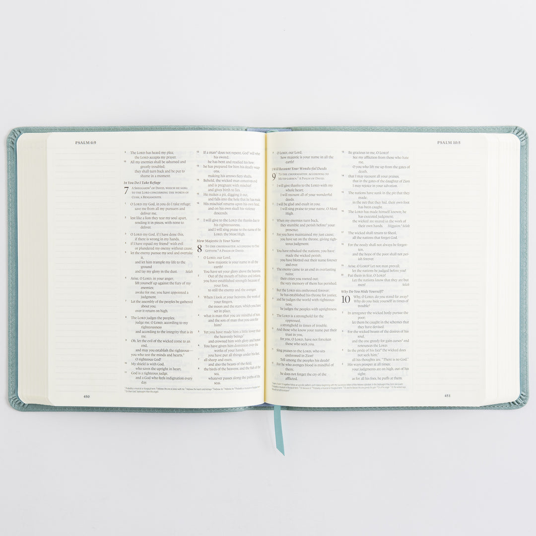 ESV Journaling Bible - TruTone, Paris Sky, Emblem Design