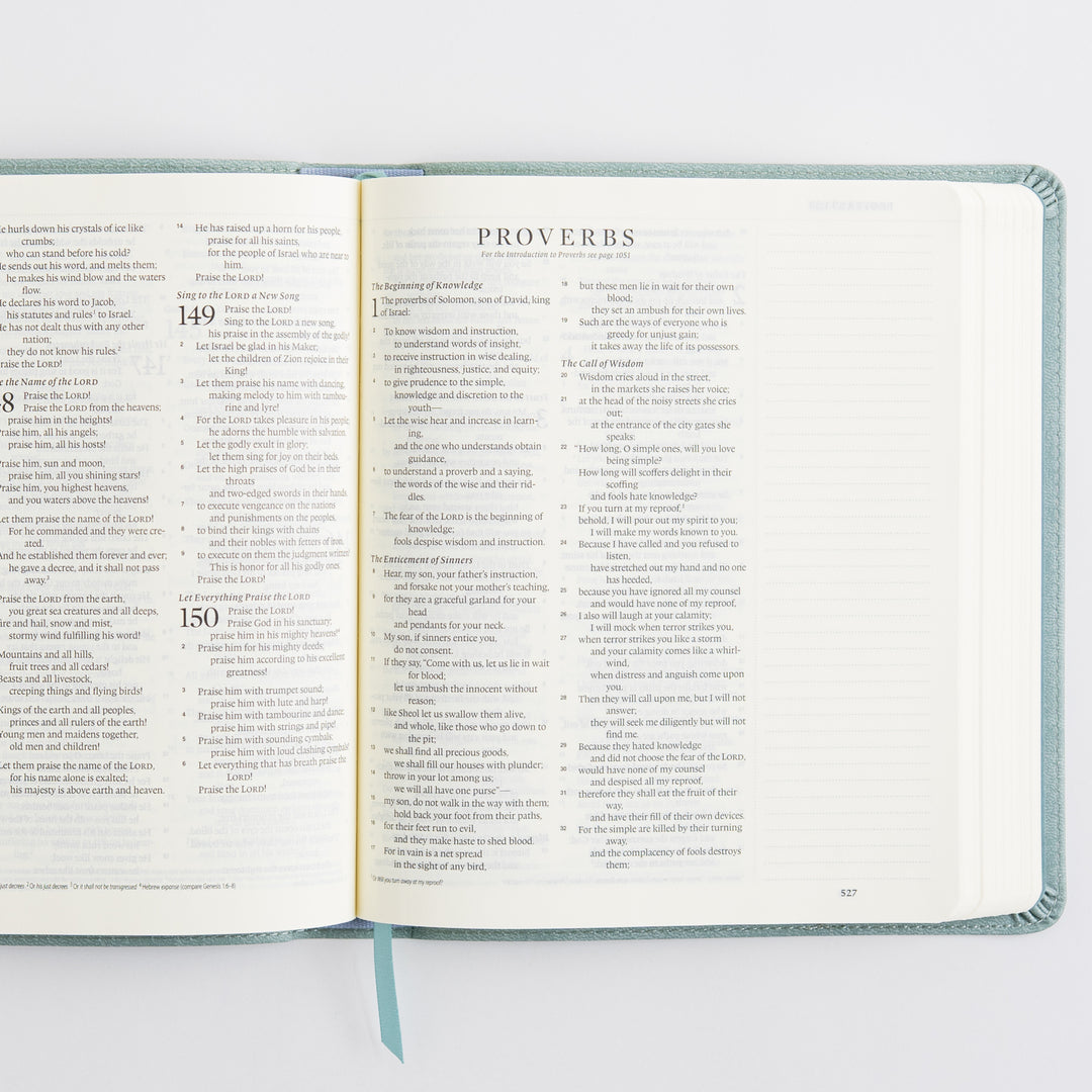 ESV Journaling Bible - TruTone, Paris Sky, Emblem Design