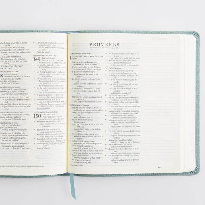 ESV Journaling Bible - TruTone, Paris Sky, Emblem Design