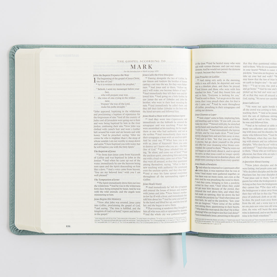 ESV Journaling Bible - TruTone, Paris Sky, Emblem Design