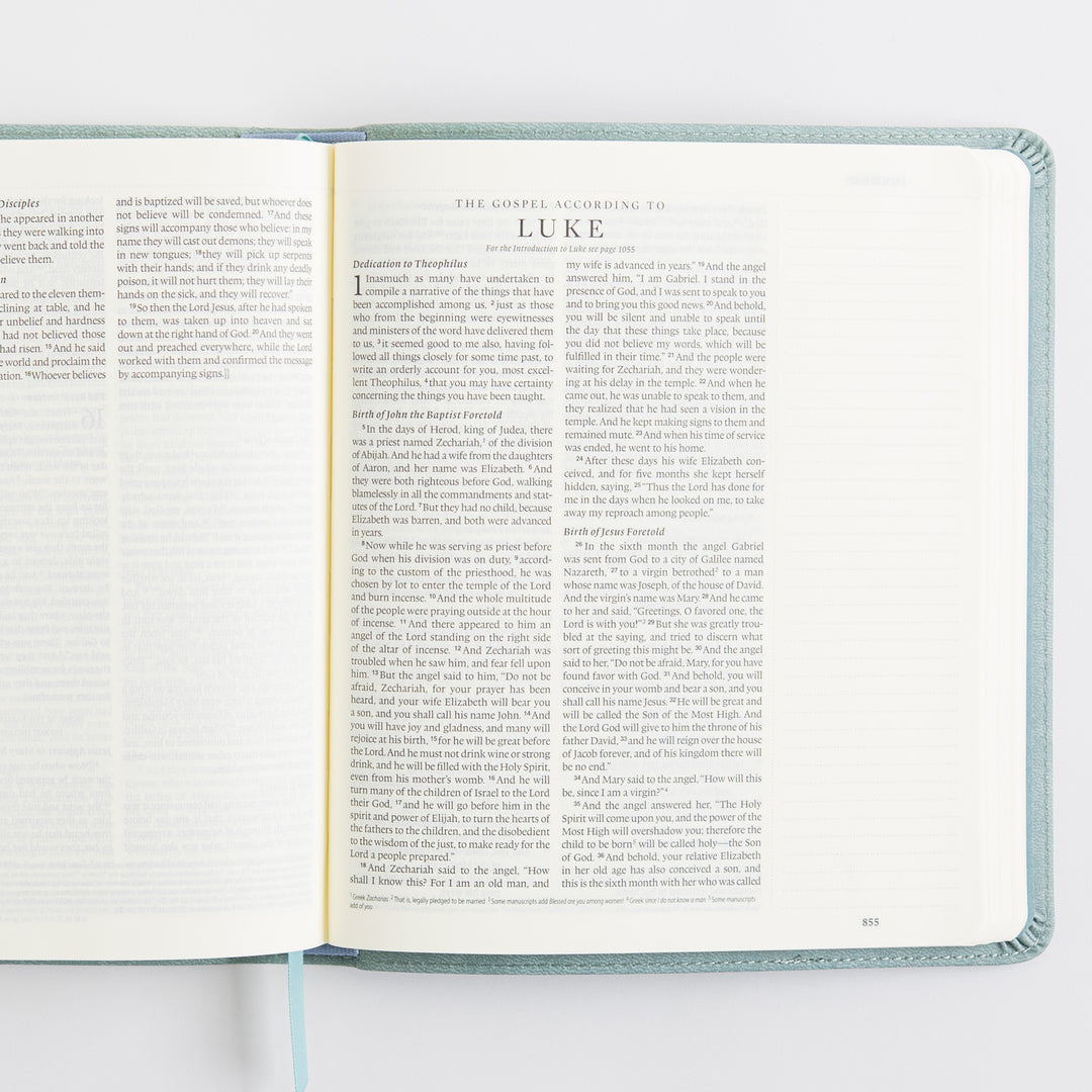 ESV Journaling Bible - TruTone, Paris Sky, Emblem Design