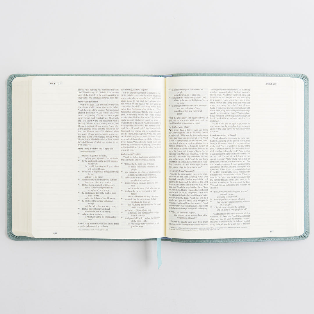 ESV Journaling Bible - TruTone, Paris Sky, Emblem Design