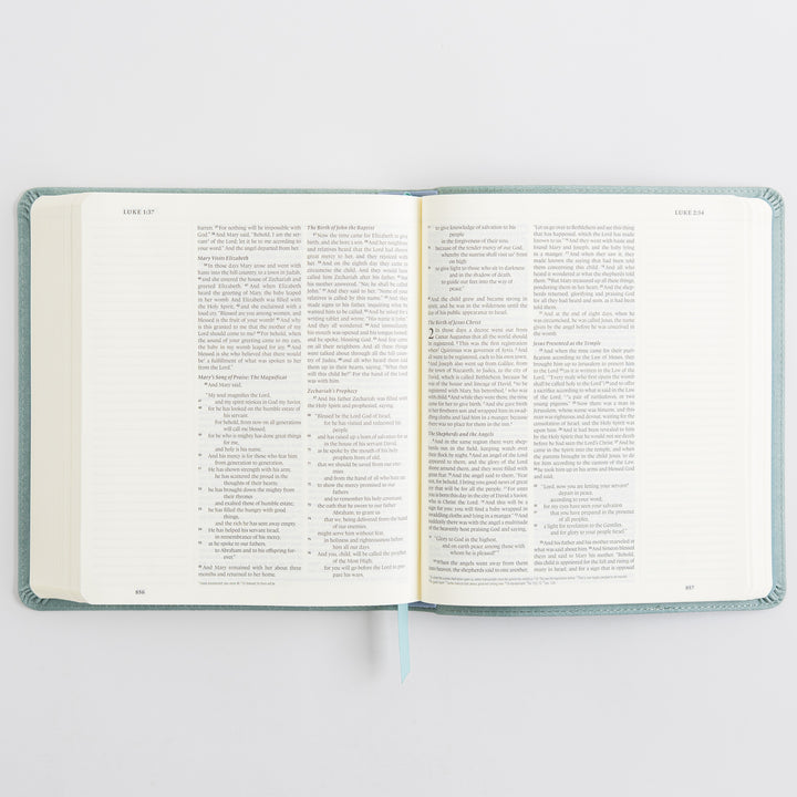 ESV Journaling Bible - TruTone, Paris Sky, Emblem Design