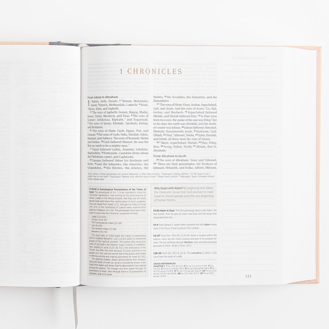 ESV Journaling Study Bible - Cloth over Board, Blush/Ochre, Floral Design