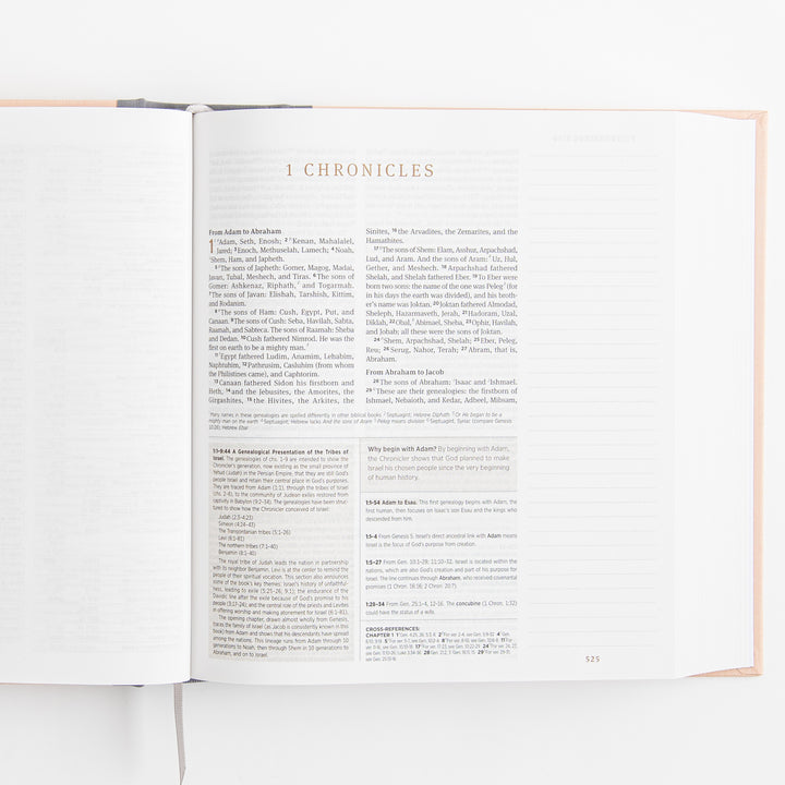 ESV Journaling Study Bible - Cloth over Board, Blush/Ochre, Floral Design