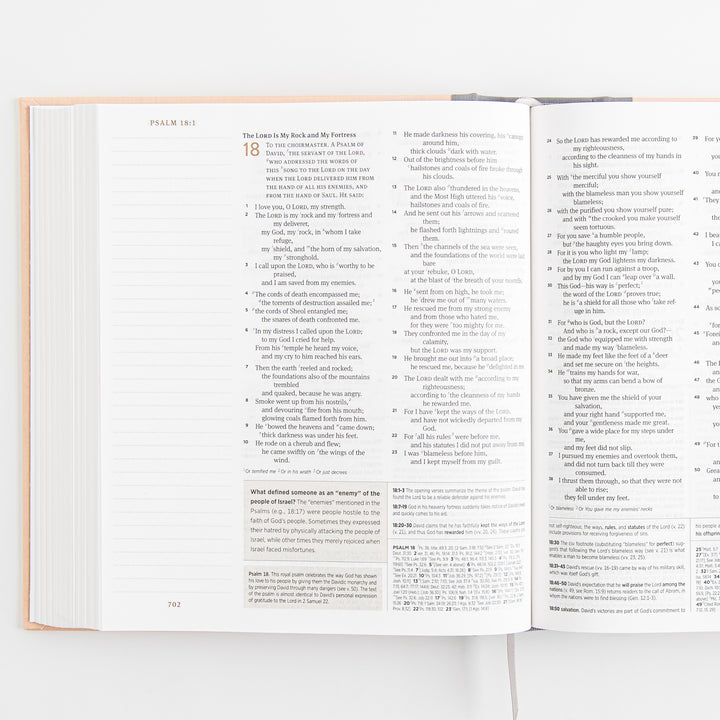 ESV Journaling Study Bible - Cloth over Board, Blush/Ochre, Floral Design