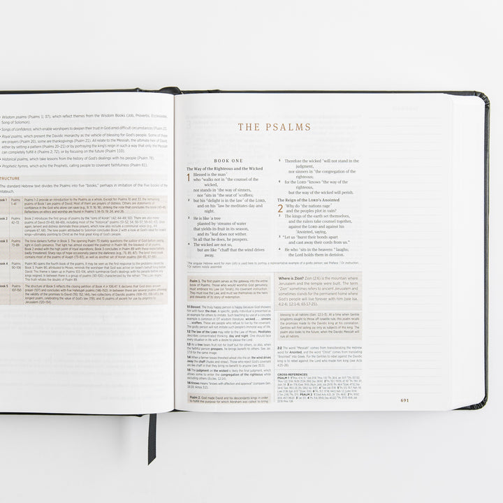 ESV Journaling Study Bible - Hardcover, Black
