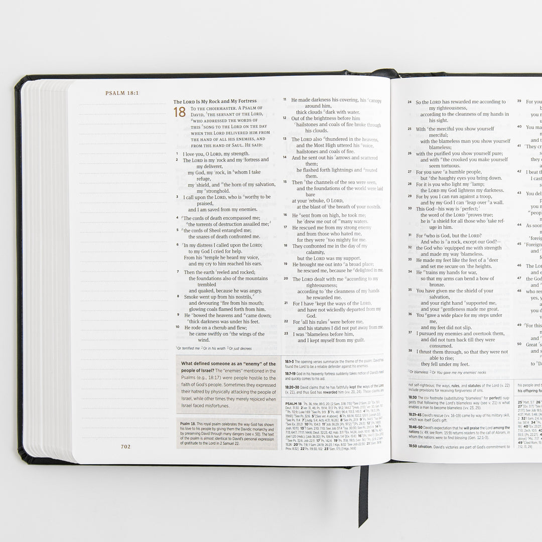 ESV Journaling Study Bible - Hardcover, Black