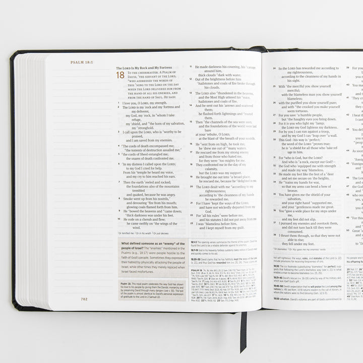 ESV Journaling Study Bible - Hardcover, Black