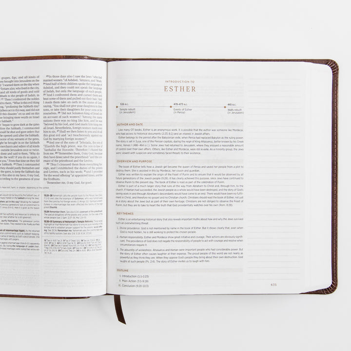 ESV Journaling Study Bible - TruTone, Brown/Chestnut