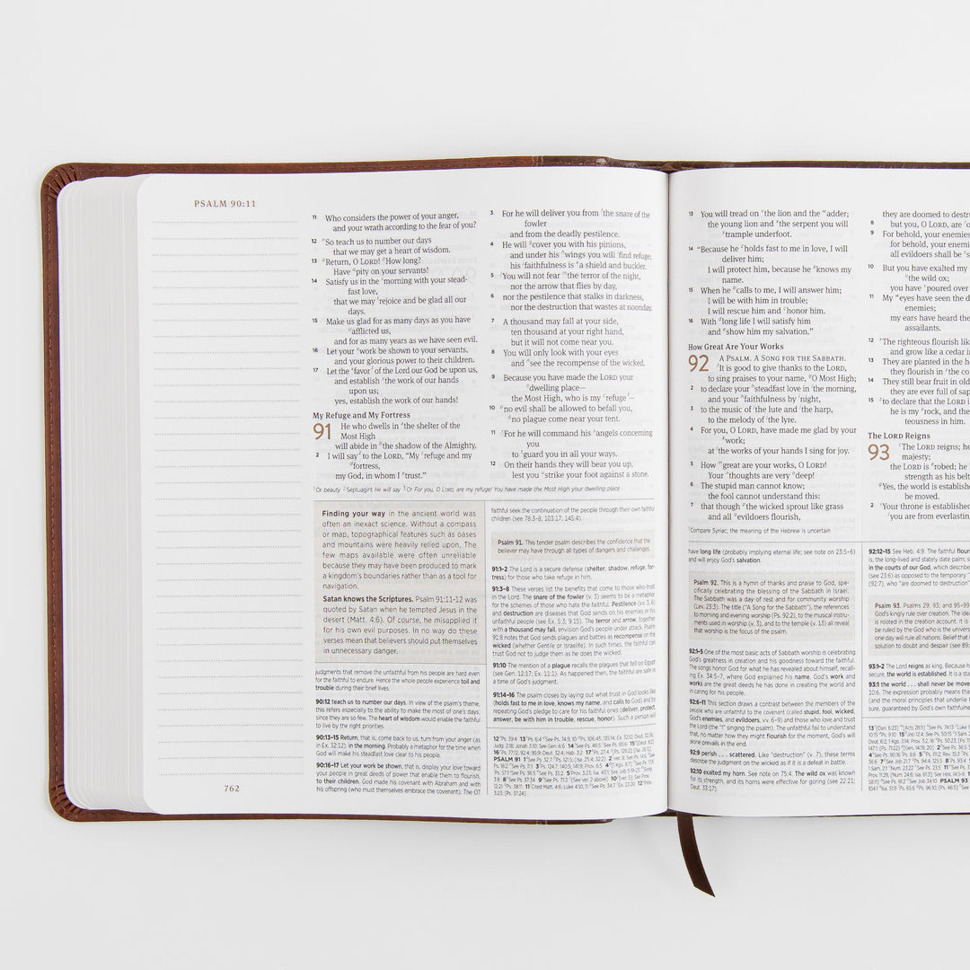 ESV Journaling Study Bible - TruTone, Brown/Chestnut
