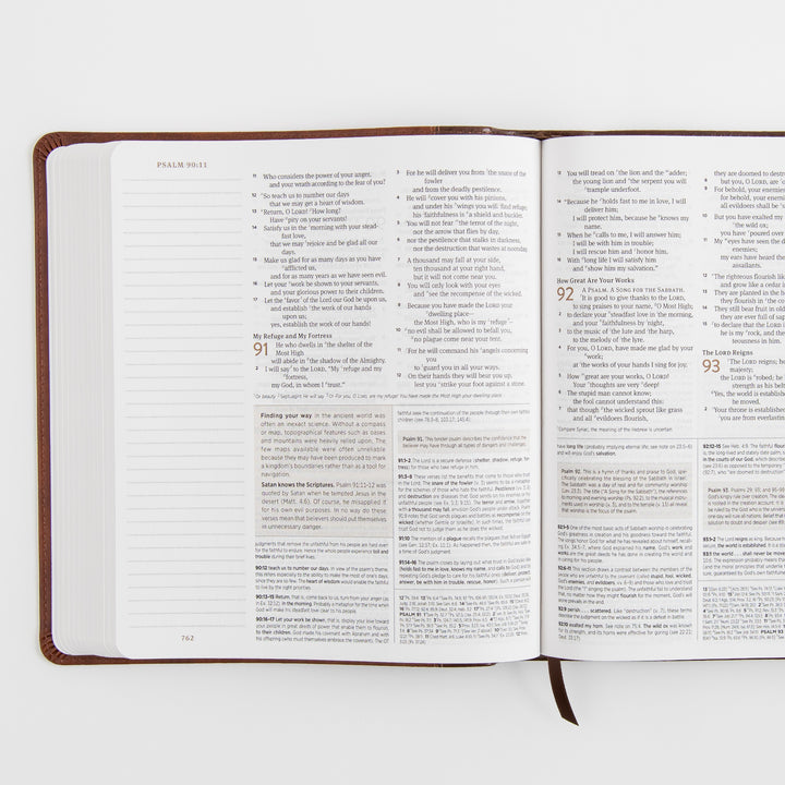 ESV Journaling Study Bible - TruTone, Brown/Chestnut