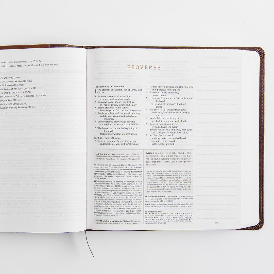 ESV Journaling Study Bible - TruTone, Brown/Chestnut