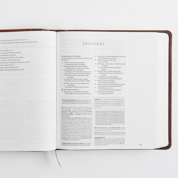 ESV Journaling Study Bible - TruTone, Brown/Chestnut