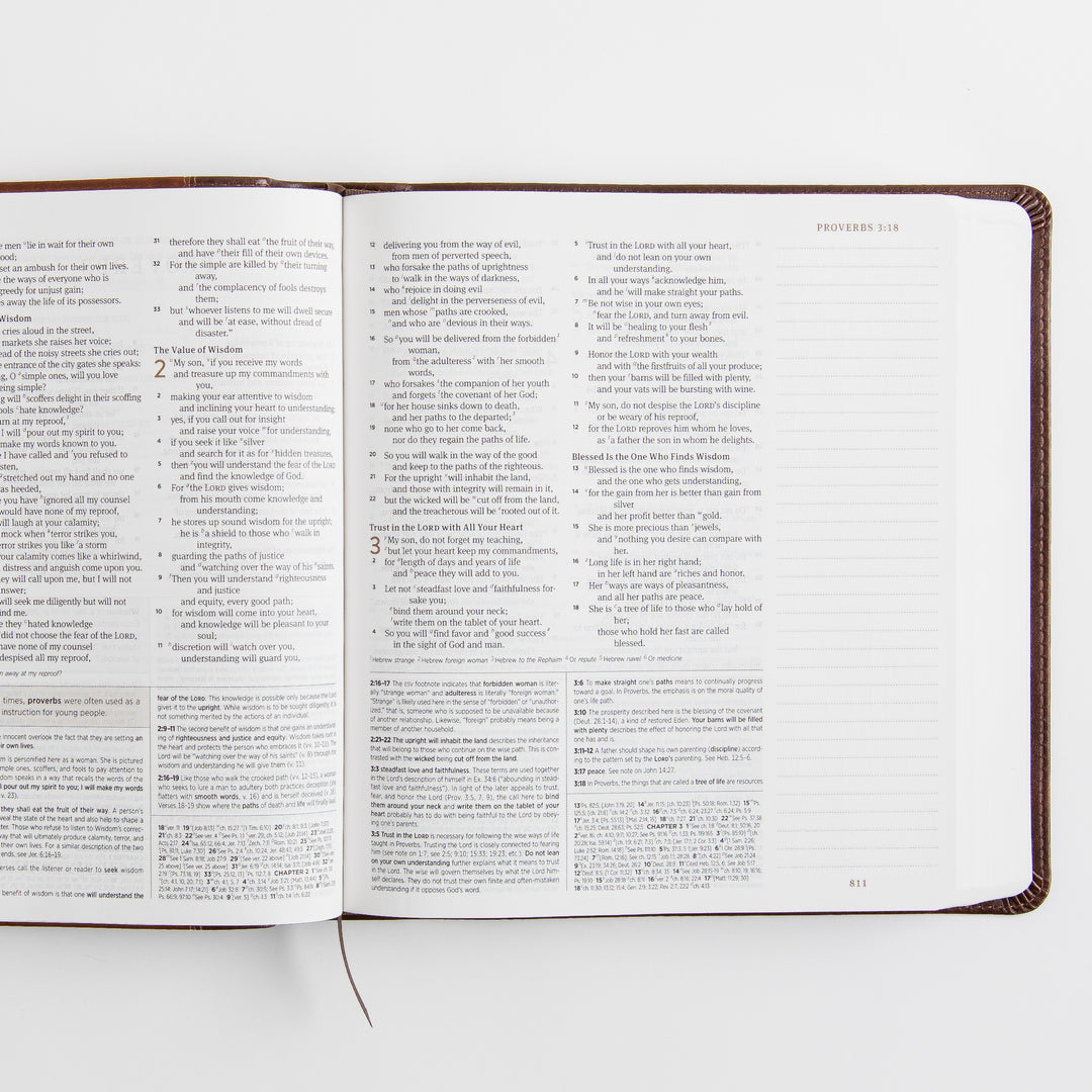 ESV Journaling Study Bible - TruTone, Brown/Chestnut