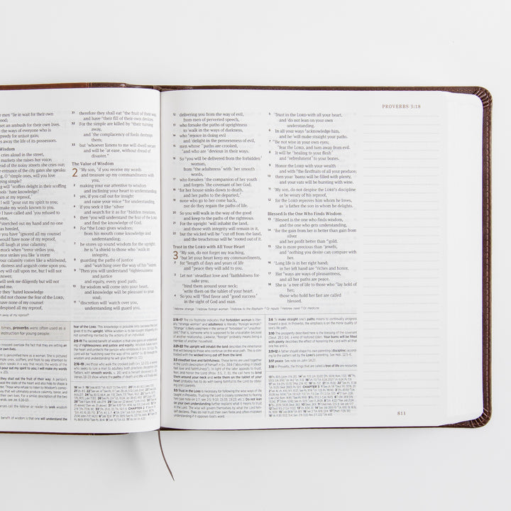 ESV Journaling Study Bible - TruTone, Brown/Chestnut