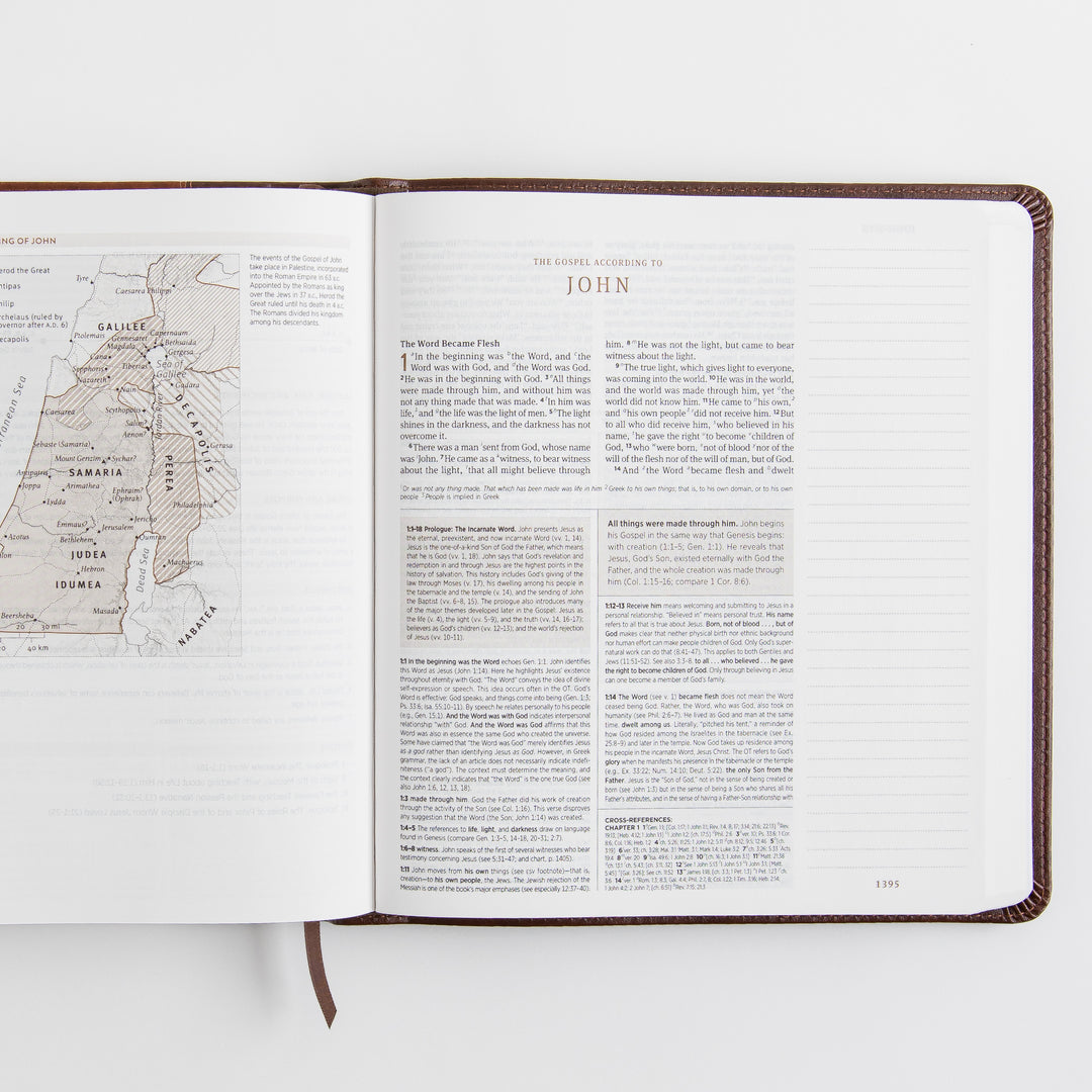 ESV Journaling Study Bible - TruTone, Brown/Chestnut