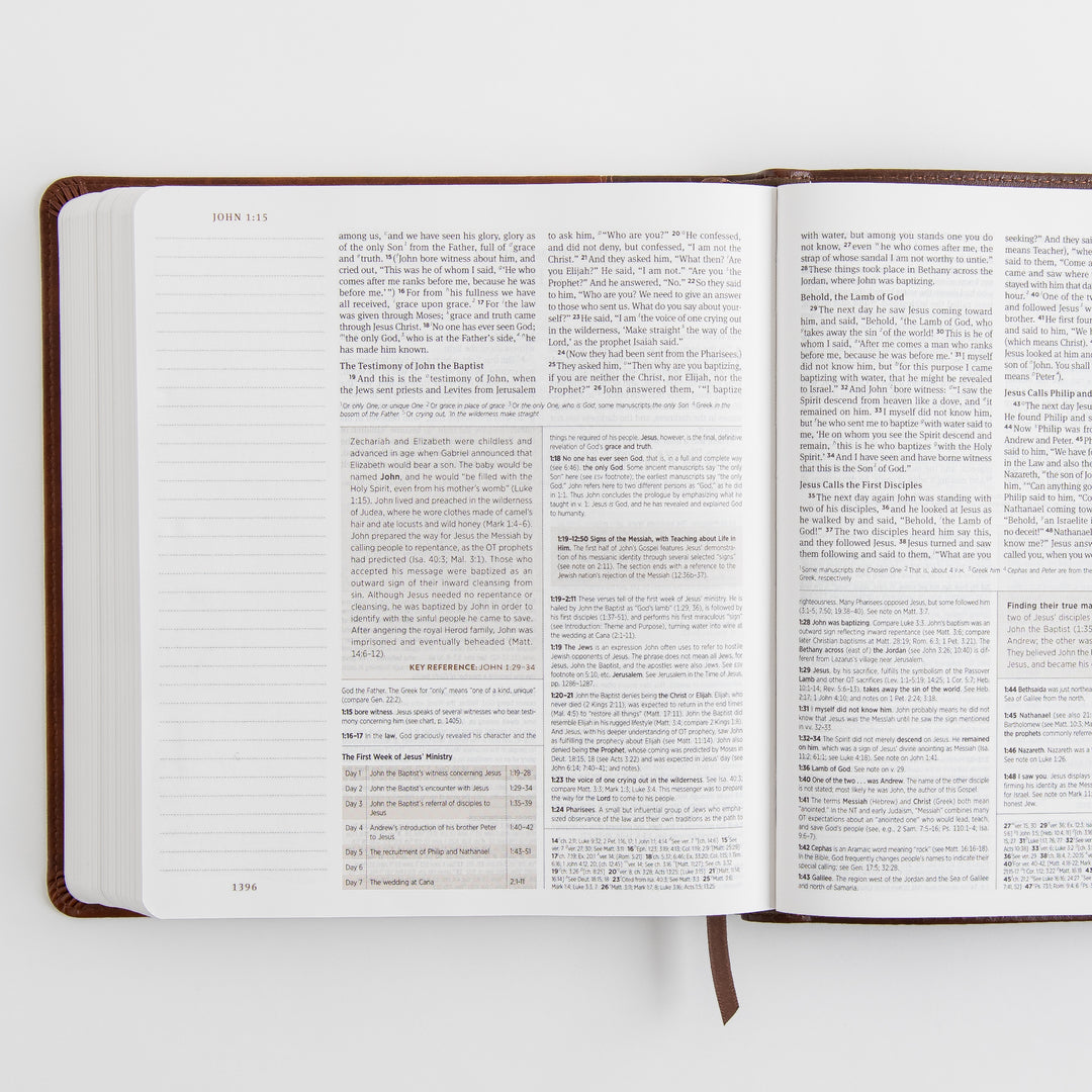 ESV Journaling Study Bible - TruTone, Brown/Chestnut