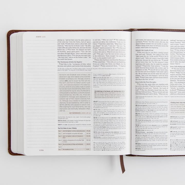 ESV Journaling Study Bible - TruTone, Brown/Chestnut