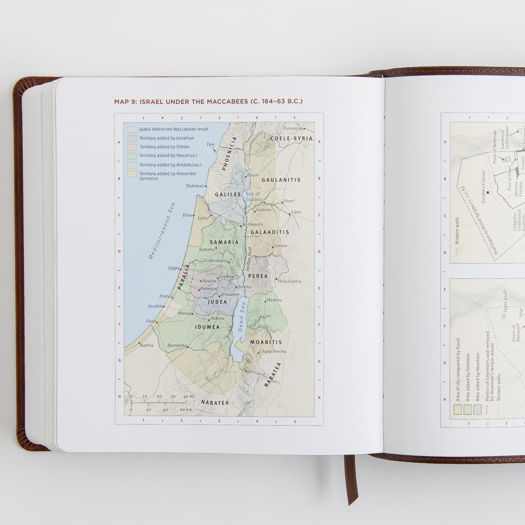 ESV Journaling Study Bible - TruTone, Brown/Chestnut
