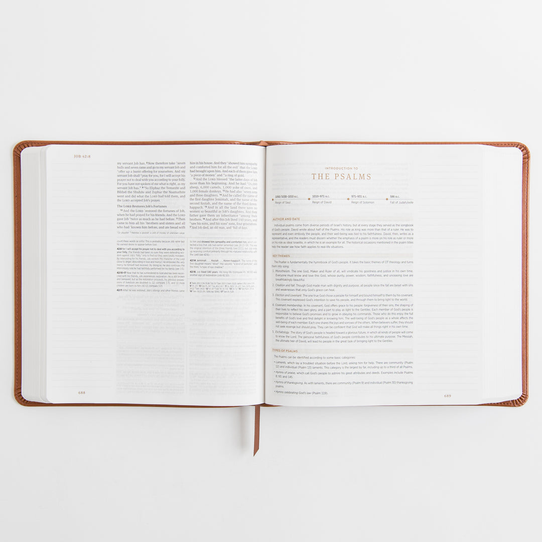 ESV Journaling Study Bible - TruTone, English Saddle