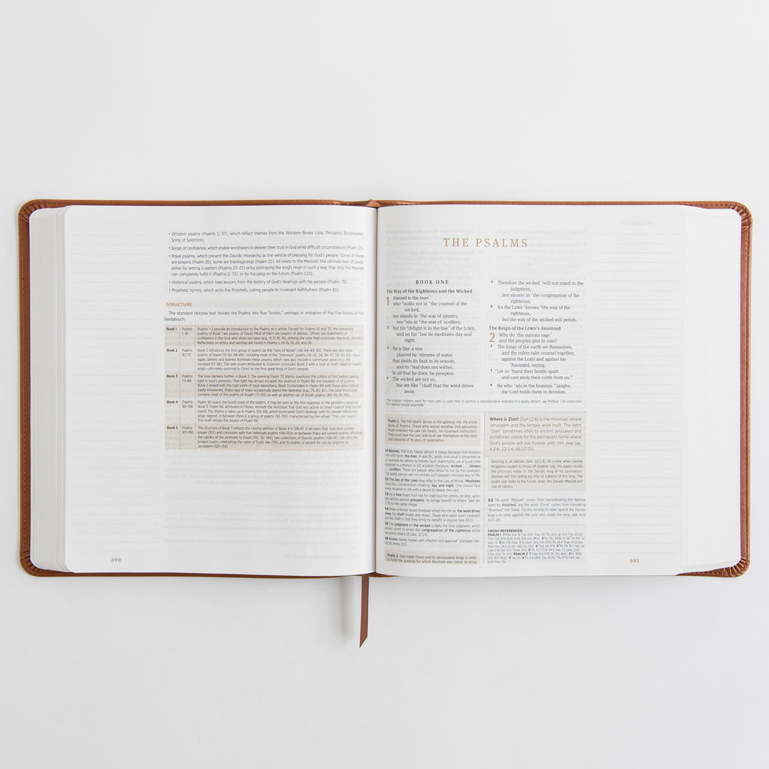 ESV Journaling Study Bible - TruTone, English Saddle