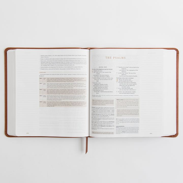 ESV Journaling Study Bible - TruTone, English Saddle