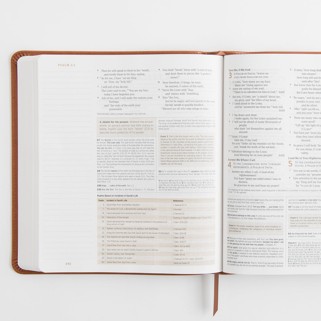 ESV Journaling Study Bible - TruTone, English Saddle