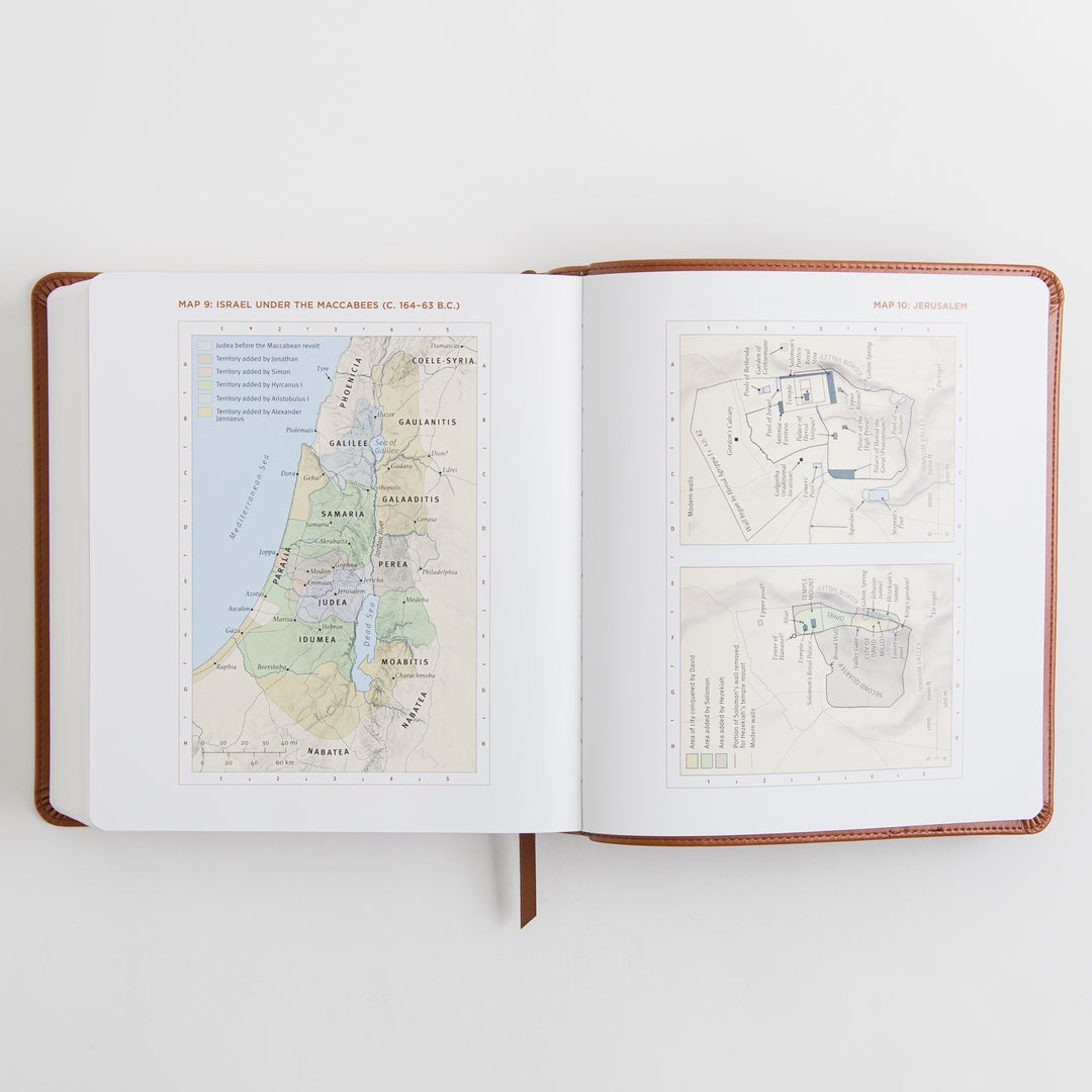 ESV Journaling Study Bible - TruTone, English Saddle