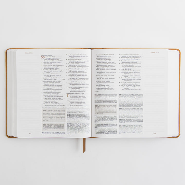 ESV Journaling Study Bible - TruTone, Nubuck Caramel