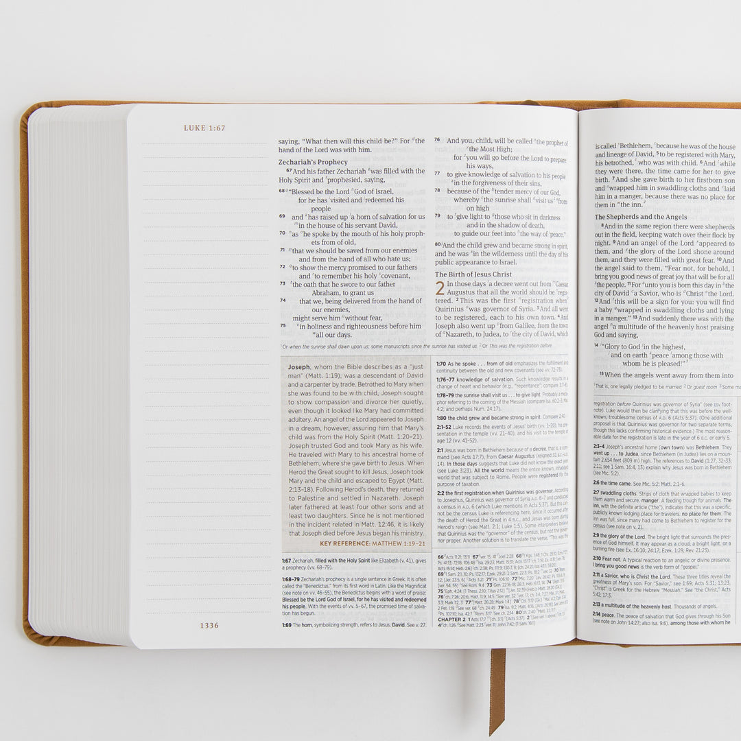 ESV Journaling Study Bible - TruTone, Nubuck Caramel