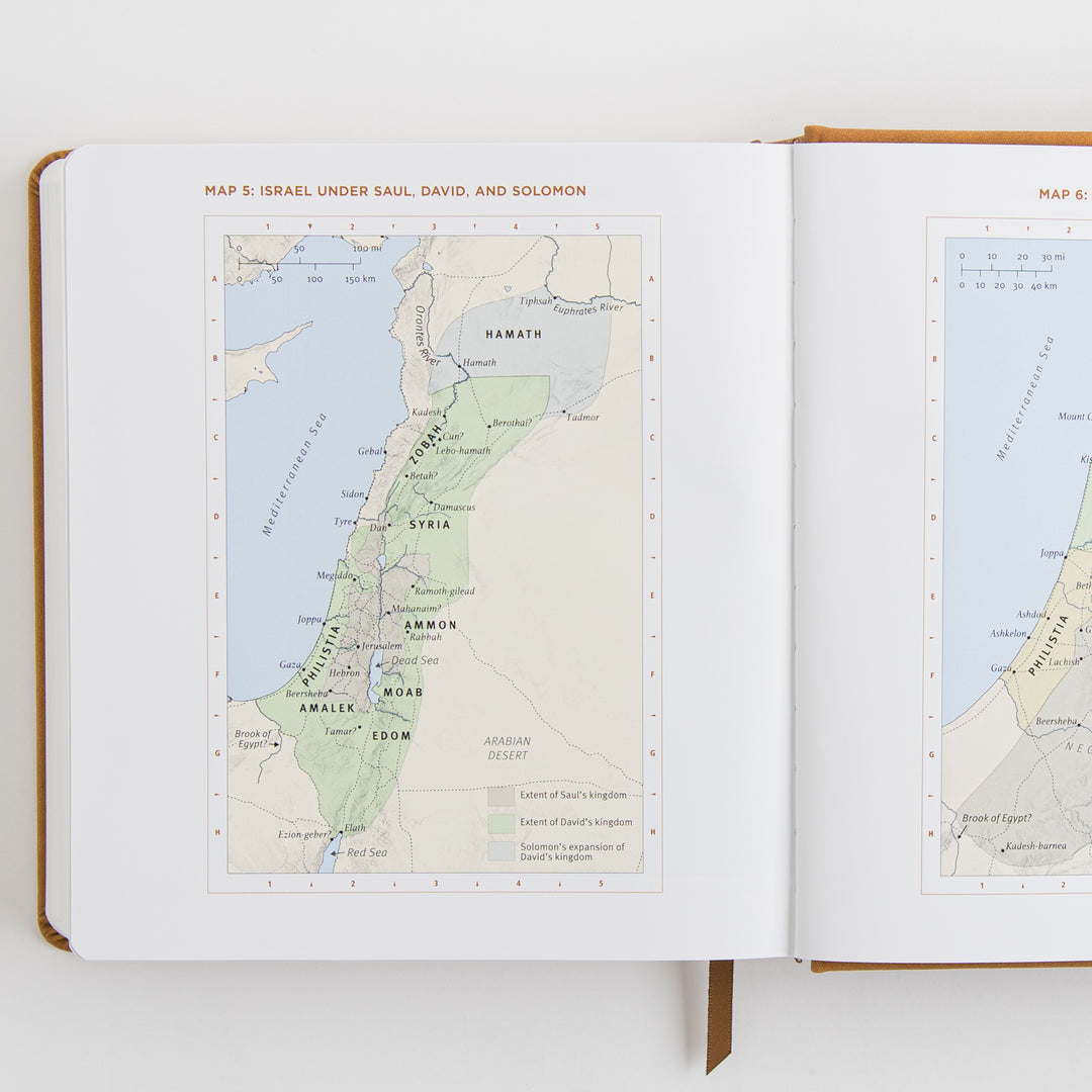 ESV Journaling Study Bible - TruTone, Nubuck Caramel