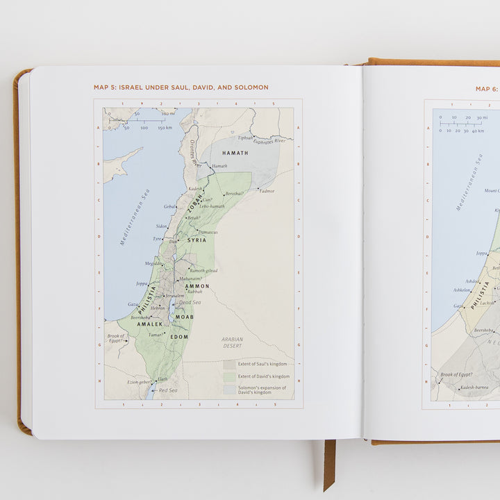 ESV Journaling Study Bible - TruTone, Nubuck Caramel