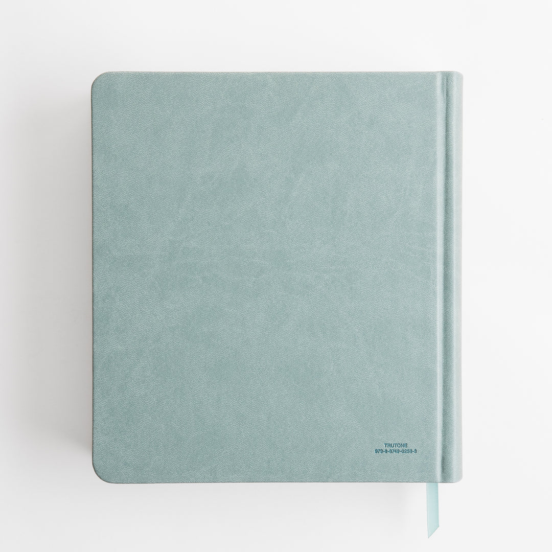 ESV Journaling Study Bible - TruTone over Board, Paris Sky, Fleur-de-lis Design