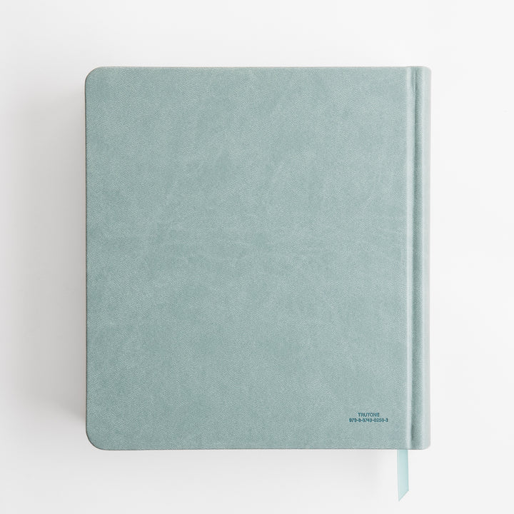 ESV Journaling Study Bible - TruTone over Board, Paris Sky, Fleur-de-lis Design