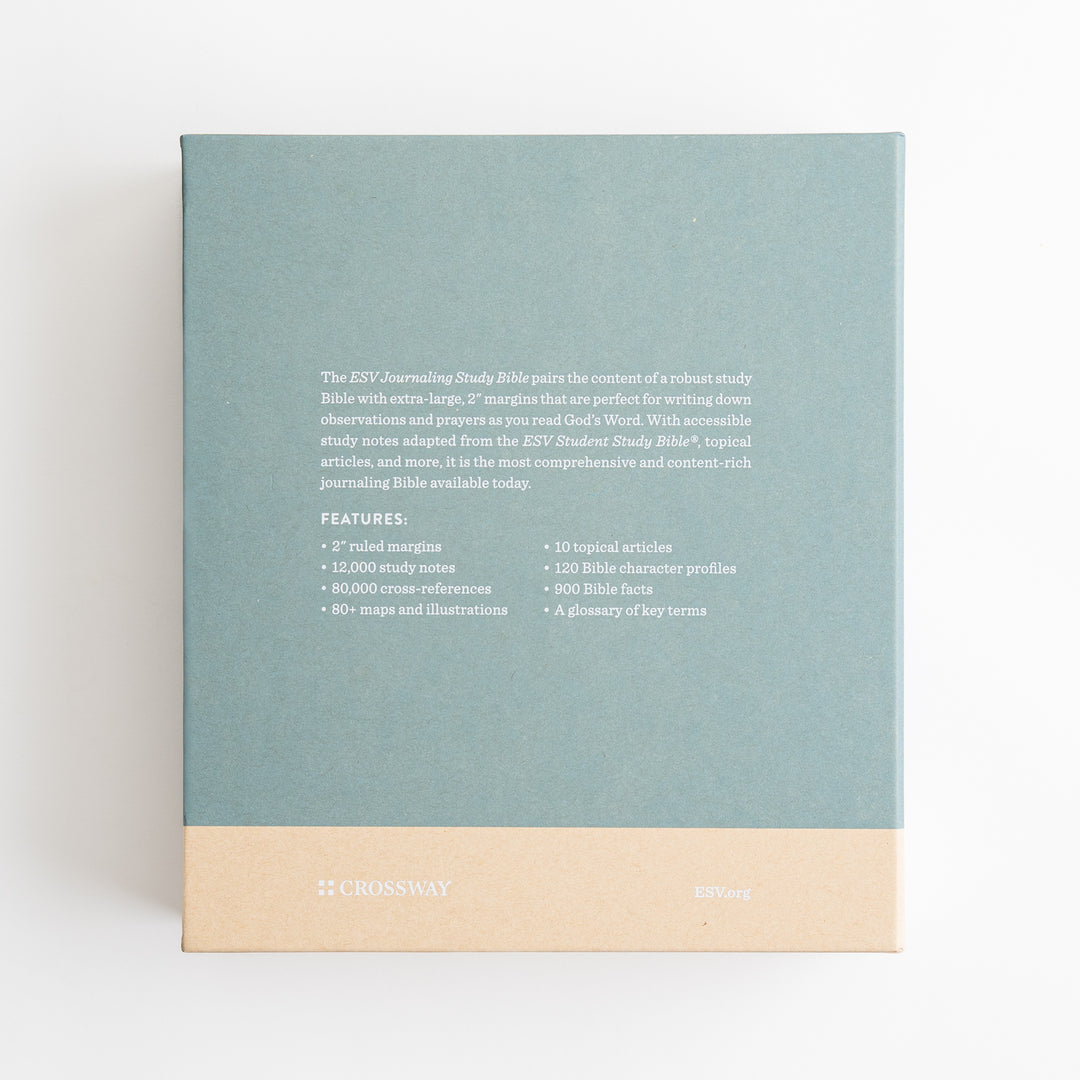 ESV Journaling Study Bible - TruTone over Board, Paris Sky, Fleur-de-lis Design