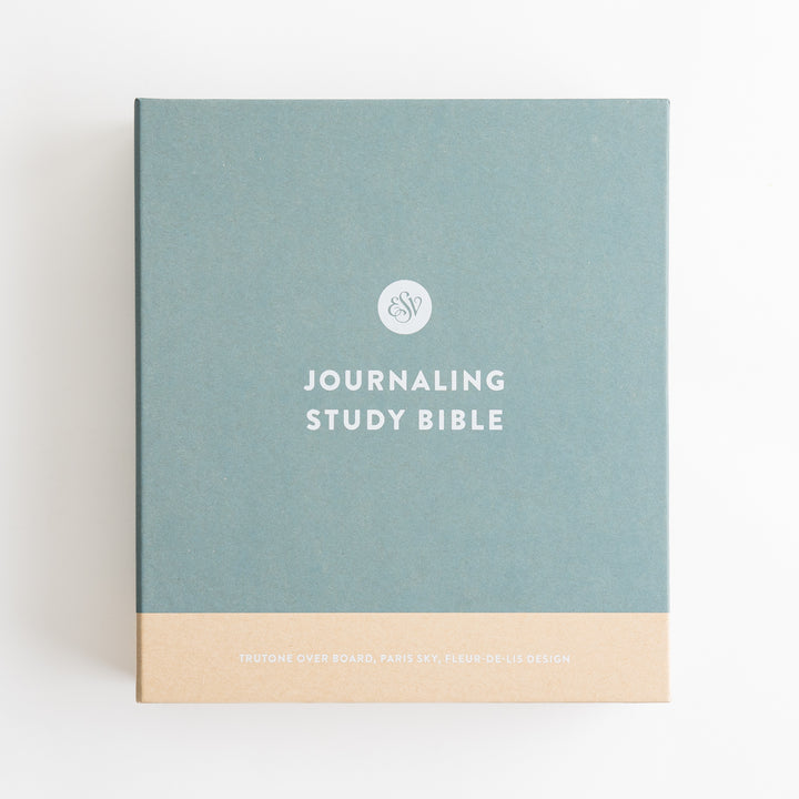 ESV Journaling Study Bible - TruTone over Board, Paris Sky, Fleur-de-lis Design