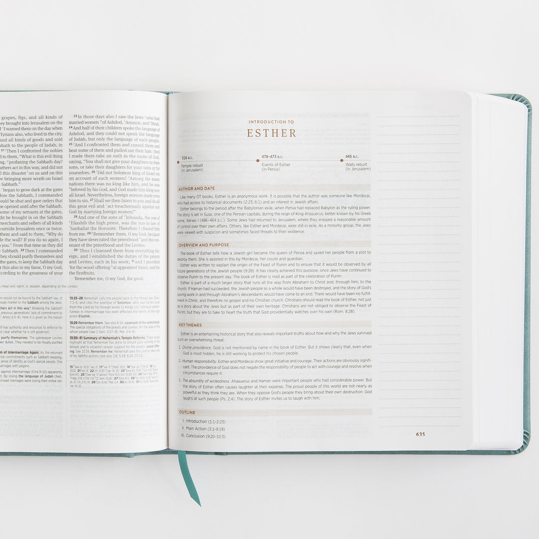 ESV Journaling Study Bible - TruTone over Board, Paris Sky, Fleur-de-lis Design