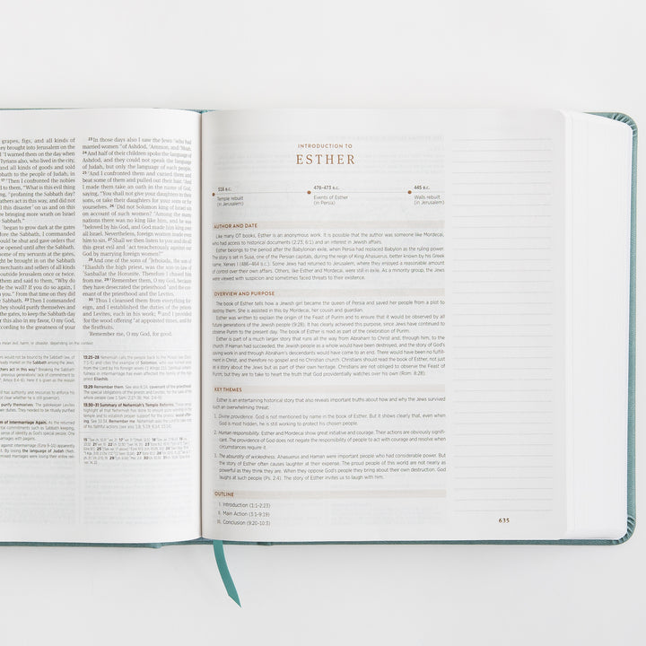 ESV Journaling Study Bible - TruTone over Board, Paris Sky, Fleur-de-lis Design