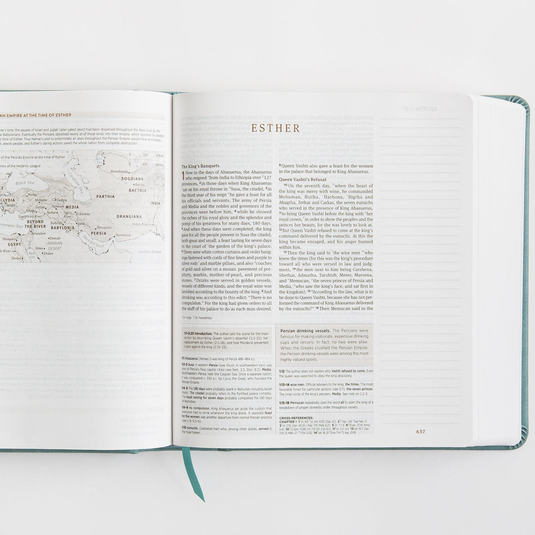 ESV Journaling Study Bible - TruTone over Board, Paris Sky, Fleur-de-lis Design