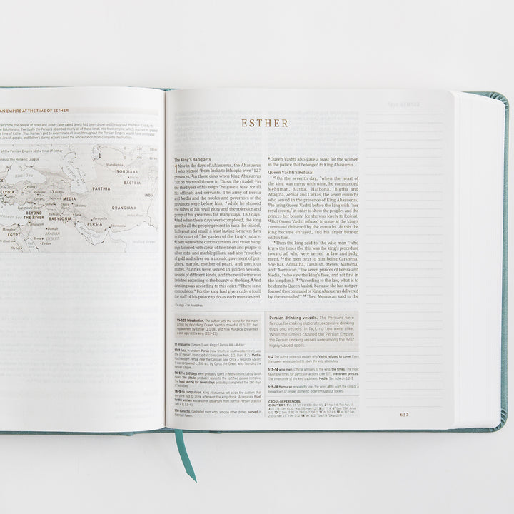 ESV Journaling Study Bible - TruTone over Board, Paris Sky, Fleur-de-lis Design
