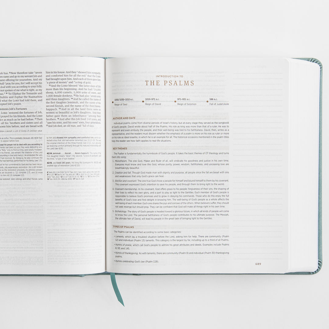 ESV Journaling Study Bible - TruTone over Board, Paris Sky, Fleur-de-lis Design
