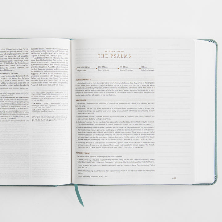 ESV Journaling Study Bible - TruTone over Board, Paris Sky, Fleur-de-lis Design