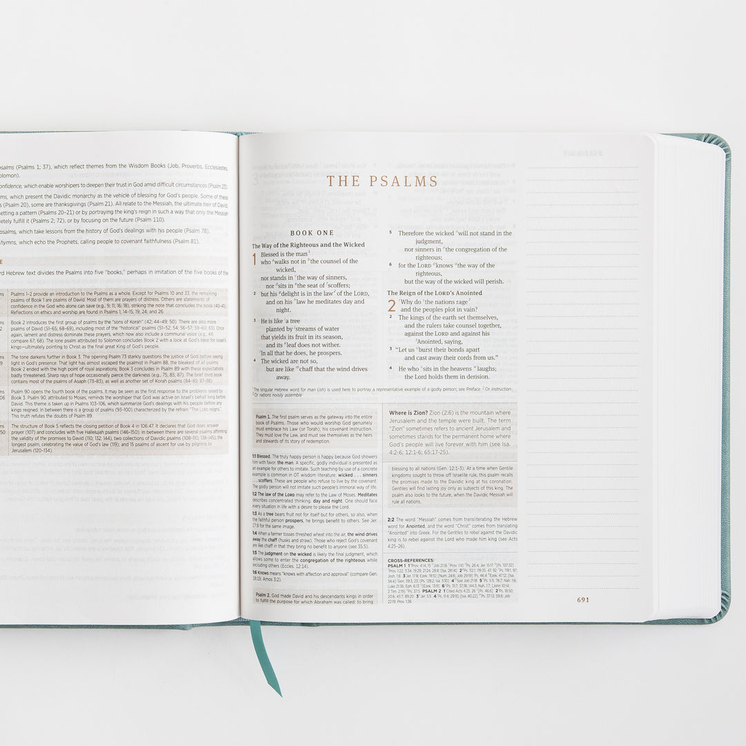 ESV Journaling Study Bible - TruTone over Board, Paris Sky, Fleur-de-lis Design